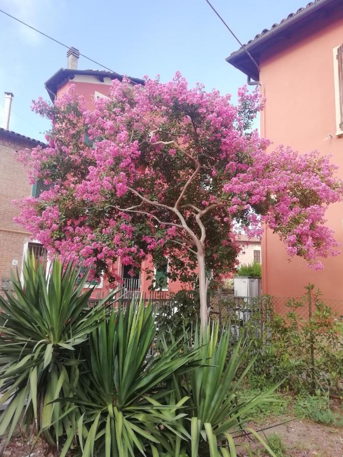 Appartamento Grigio Perla Residenza, casa indipendente con parcheggio privato e giardino Bologna Esterno foto